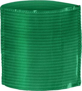 ProAct PA678 - ELASTIC ARMBAND WITH CLEAR POCKET Green