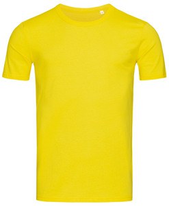 Crew neck T-shirt for men Stedman