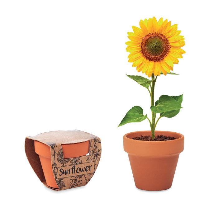 GiftRetail MO6147 - SUNFLOWER Terracotta pot 'sunflower'